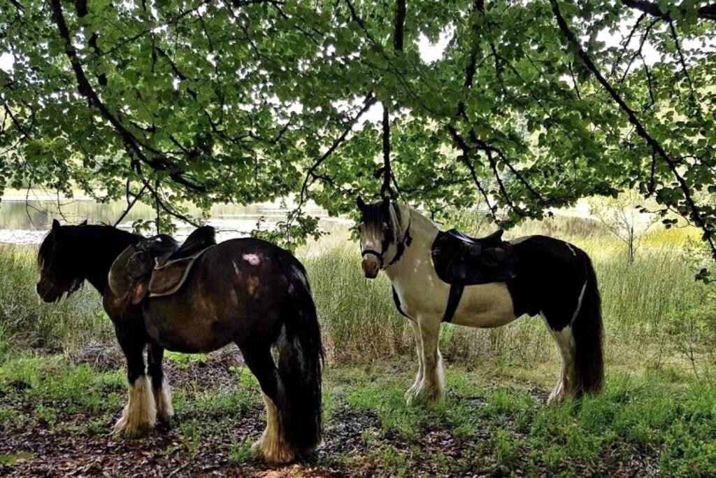 Les Vergers D'Epona "Fremifontaine Vosges" Zewnętrze zdjęcie